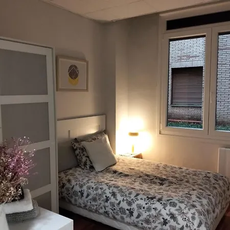 Guggenheim Riverview Hbi01297 * Bilbao